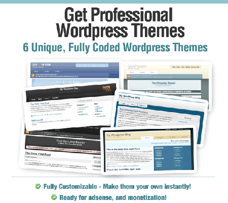 Wordpress Pro Themes